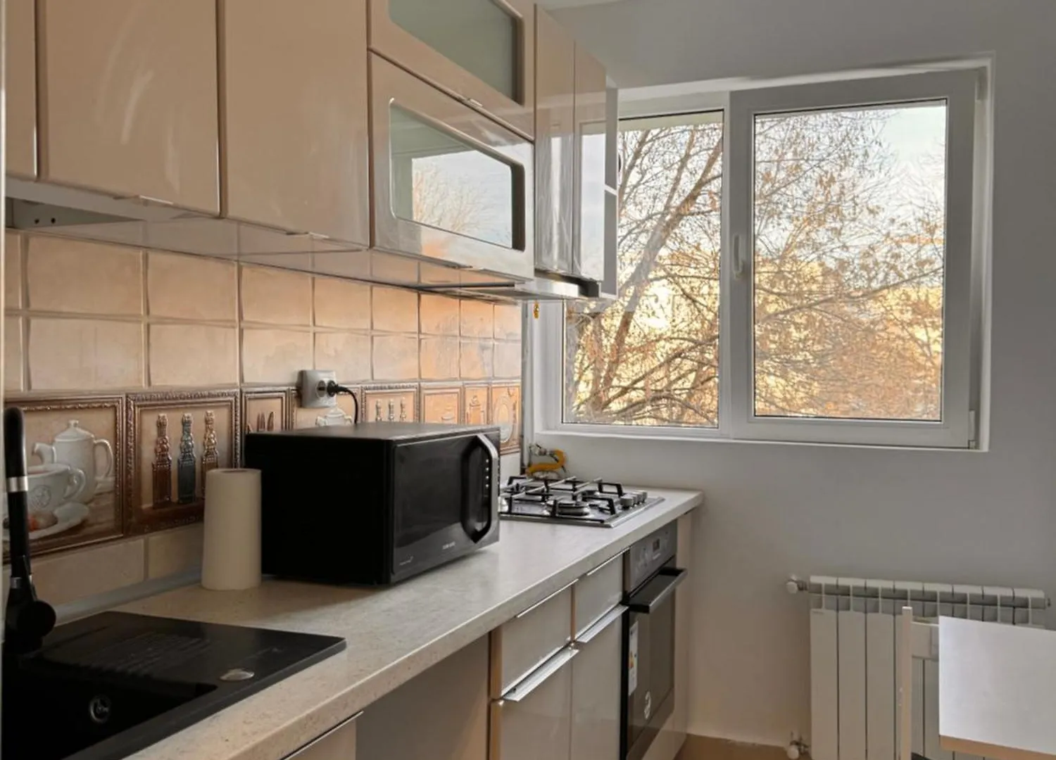 Apartment Luxury Apartament In Victoriei Bulevard Bucharest