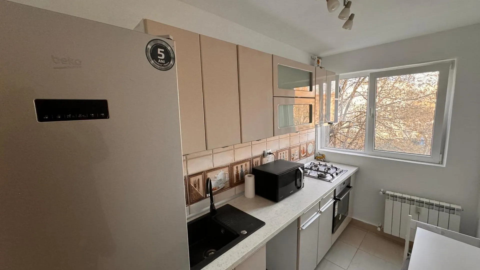 Apartment Luxury Apartament In Victoriei Bulevard Bucharest